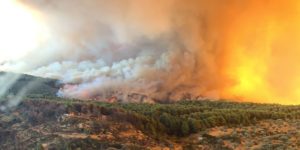 Read more about the article Σε 17 συμβάντα δασικών πυρκαγιών στην χώρα ενεργοποιήθηκε το προγνωστικό σύστημα ταχείας απόκρισης IRIS