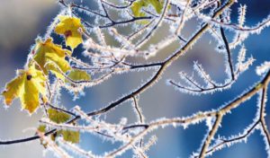 Ηλεία: Με τσουχτερό κρύο και παγετό ποδαρικό το 2020 – Δείτε τις θερμοκρασίες το πρωί της Πρωτοχρονιάς