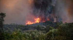 Read more about the article Κομισιόν: Υψηλός κίνδυνος για εκτεταμένες δασικές πυρκαγιές σε όλη την Ευρώπη