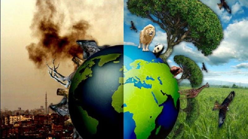 You are currently viewing Παγκόσμια Ημέρα Περιβάλλοντος: «Για να φροντίσουμε τον άνθρωπο πρέπει να φροντίσουμε τη φύση»