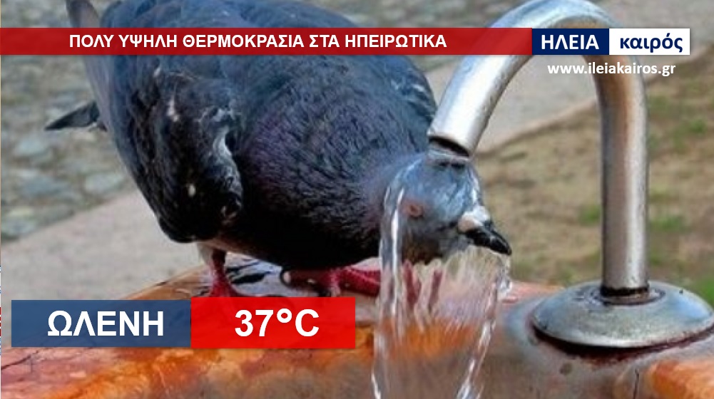 You are currently viewing Ηλεία: Πολύ ζέστη στα ηπειρωτικά το μεσημέρι της Τρίτης (Δείτε τις θερμοκρασίες στις 15:00)