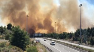 Read more about the article Φθιώτιδα: Σε εξέλιξη δασική πυρκαγιά στο Μαρτίνο