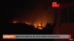 Read more about the article Ζάκυνθος: Σε ύφεση η δασική πυρκαγιά που ξέσπασε το βράδυ της Παρασκευής