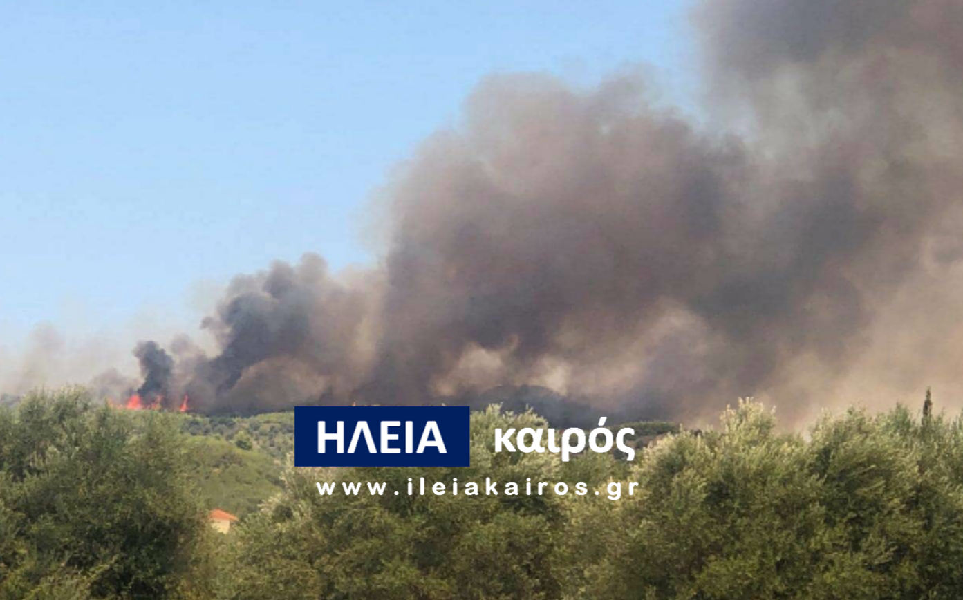 You are currently viewing Ηλεία: Δασική πυρκαγιά στο Γραμματικό Πύργου (LIVE εικόνα)