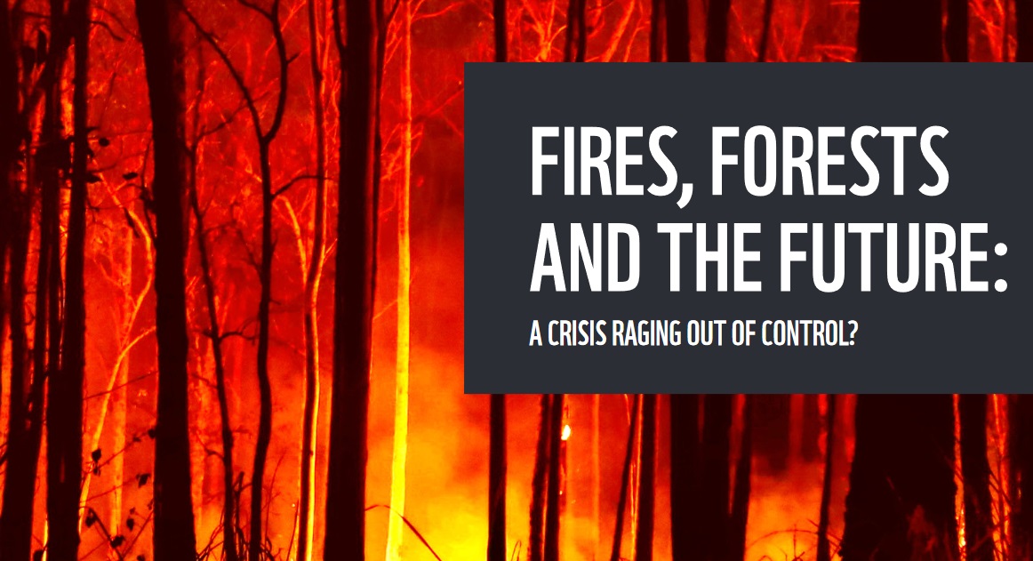 You are currently viewing WWF: Φωτιές, δάση και το μέλλον: μια διαρκής εκτός ελέγχου κρίση;