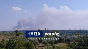 Read more about the article Δ.Ήλιδας: Πυρκαγιά στην περιοχή Κολοκυθάς στο Φράγμα Πηνειού