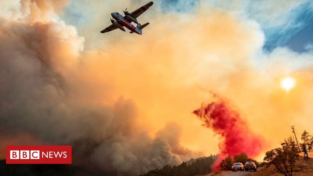 You are currently viewing Καλιφόρνια: Τουλάχιστον τρεις άνθρωποι έχουν χάσει τη ζωή τους από τις πυρκαγιές που μαίνονται
