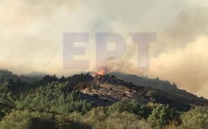 Read more about the article Έβρος: Μεγάλη δασική πυρκαγιά στην Λευκίμμη Σουφλίου